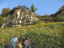 11102008_001.jpg